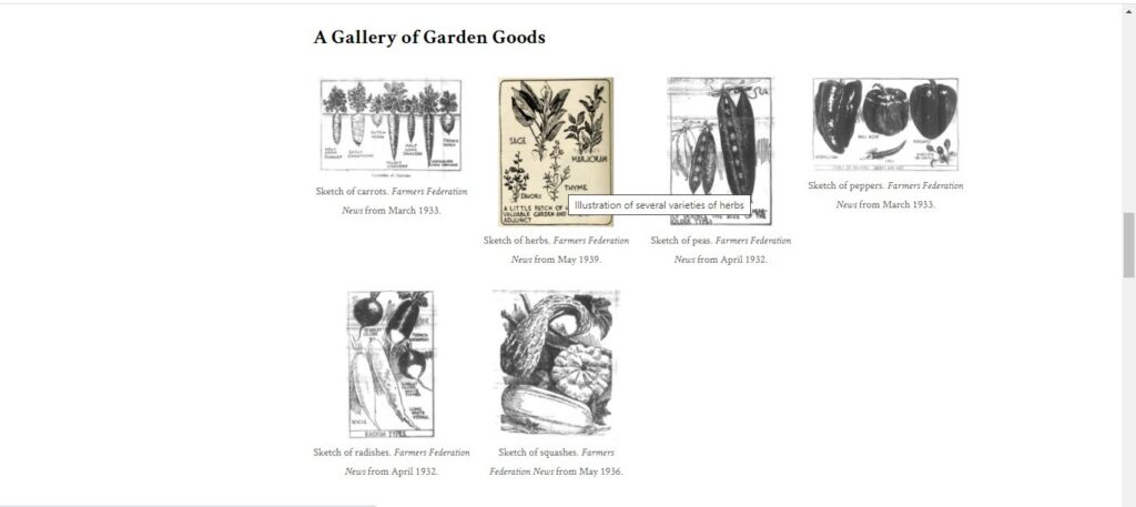 A second screenshot from “The Garden” page. This one displays some of the sketches of garden plants readers encountered in the Farmers Federation News.