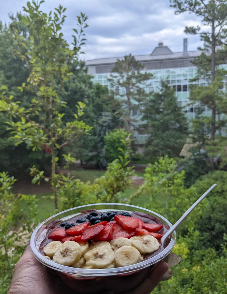 Acai Bowl from UNCA's Smoothie Lab